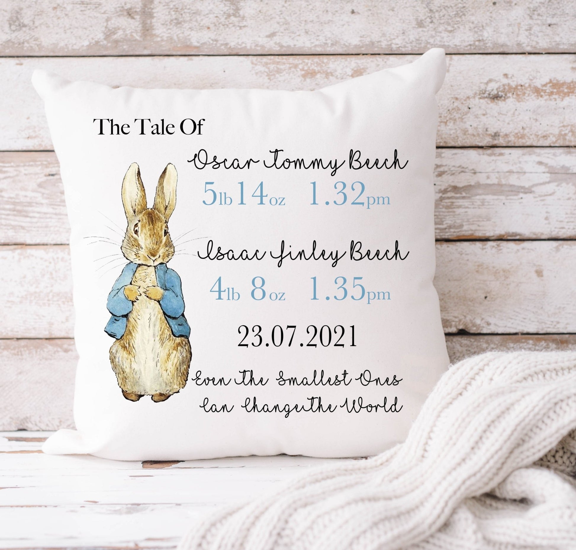 Blue Rabbit Cushion 40x40cm - TWINS
