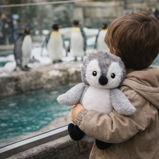 Baby Penguin Personalised Teddy
