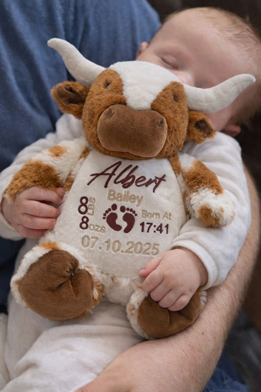 Texas Longhorn Personalised Teddy