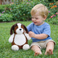 Beagle Personalised Teddy