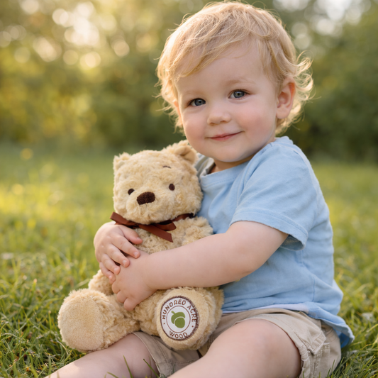 Hundred Acre Wood Winnie the Pooh Cuddle Bear