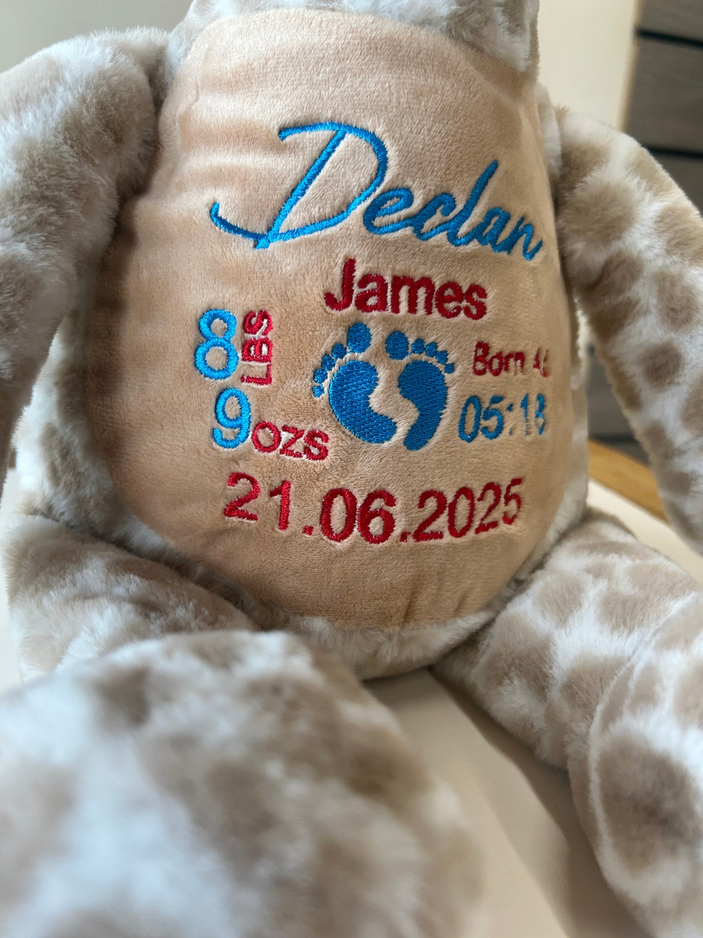 Giraffe Personalised Teddy