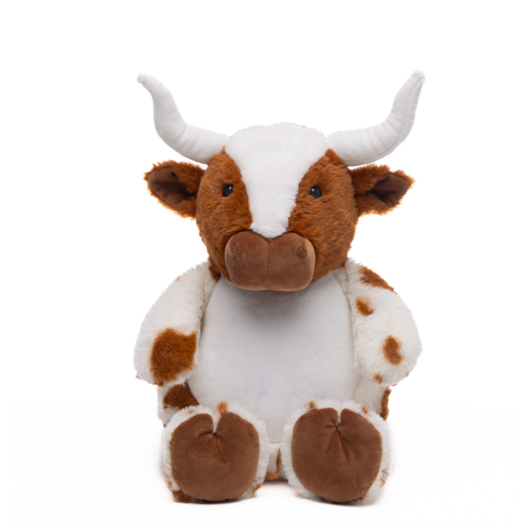 Texas Longhorn Personalised Teddy