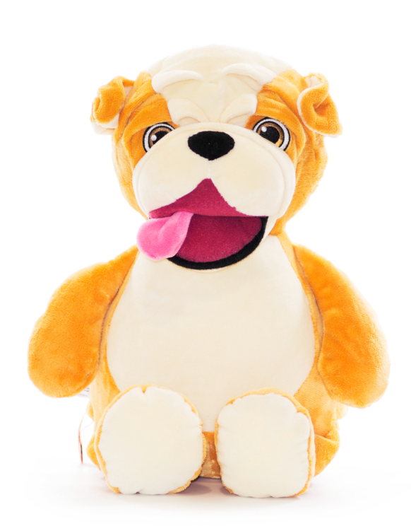 Bull Dog Personalised Teddy