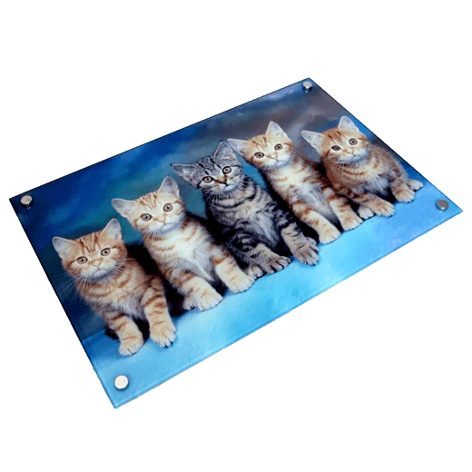 Photo Wall mounted personalised glass panel 10x16"