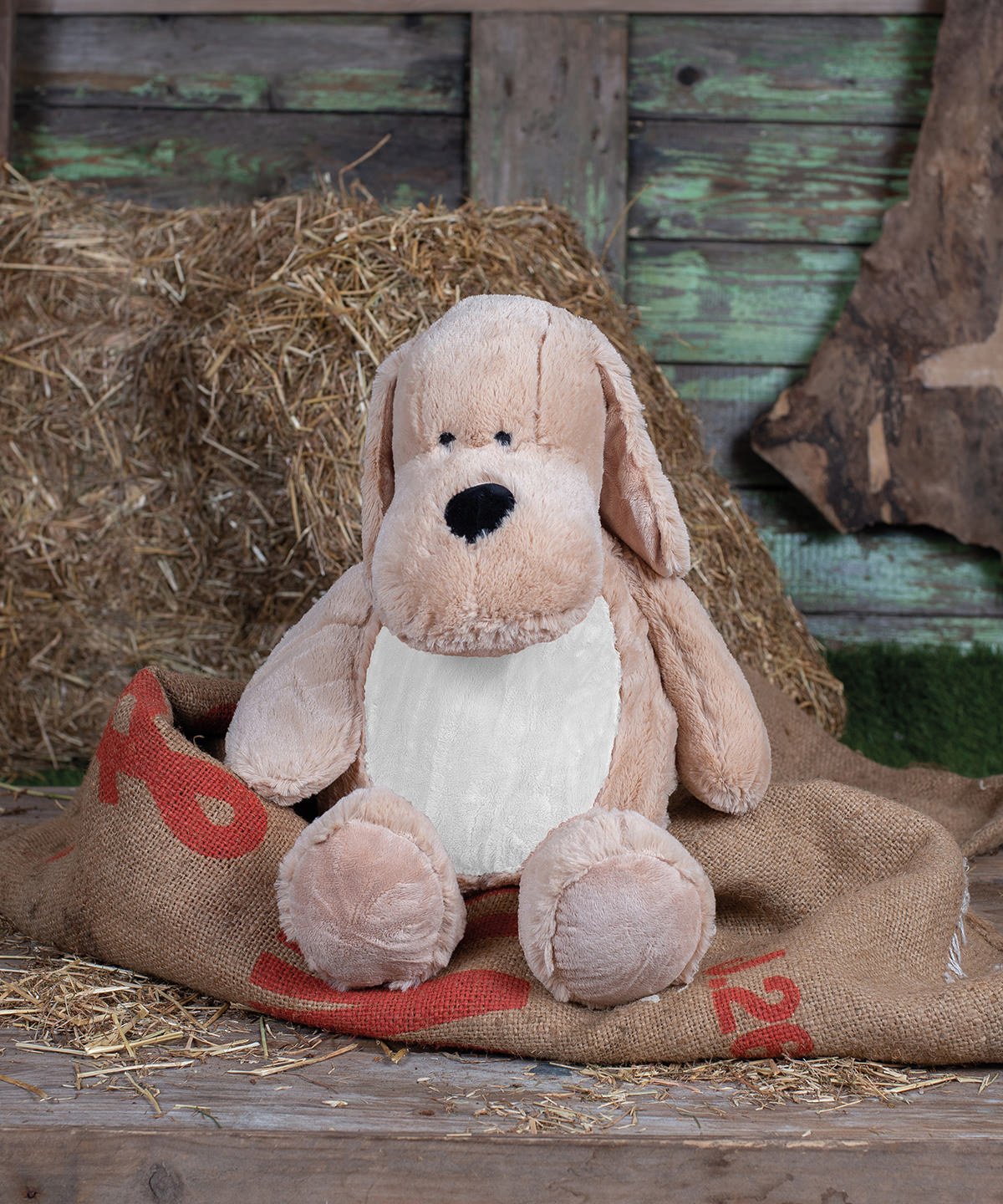 Zippie Dog Personalised Teddy