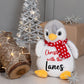 Large 40cm Personalised Christmas Teddy - Various Characters