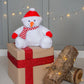Large 40cm Personalised Christmas Teddy - Various Characters
