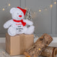 Large 40cm Personalised Christmas Teddy - Various Characters