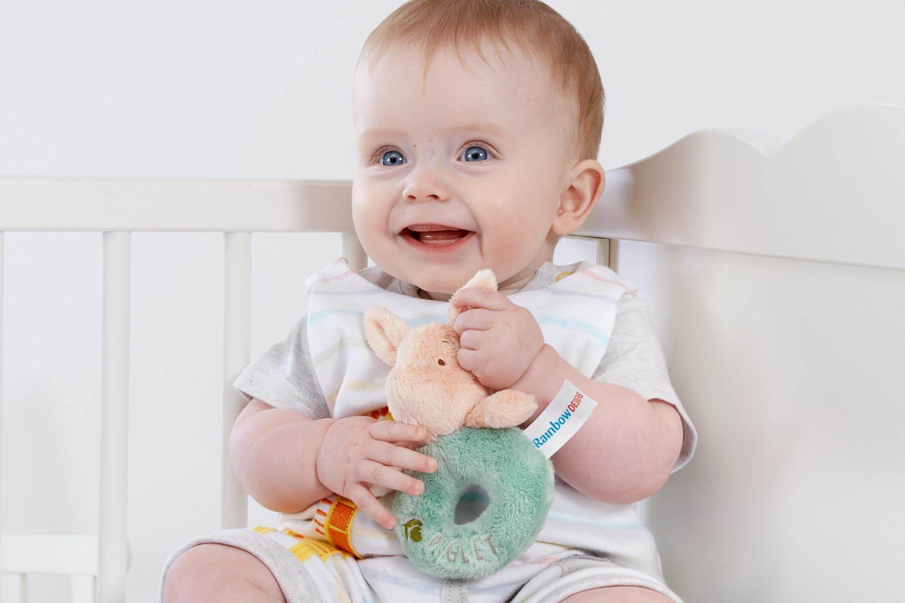 Hundred Acre Wood Piglet Ring Rattle