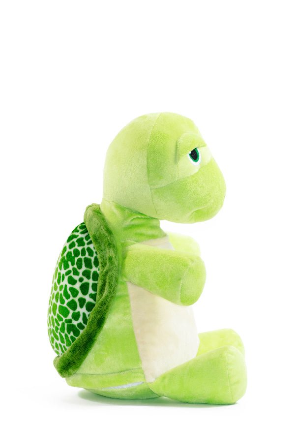 MR SHIGGLESWORTH Turtle Personalised Teddy